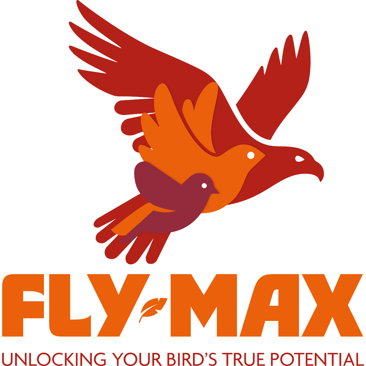 Fly-Max