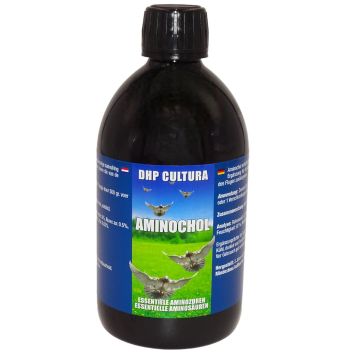 Aminochol