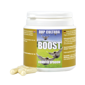 Boost