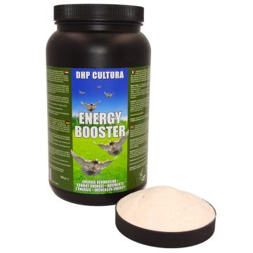 Energie booster