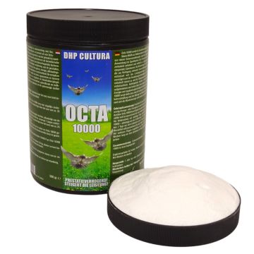 Octa 10000