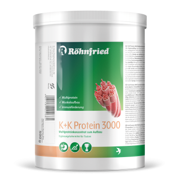 K + K Protein 3000